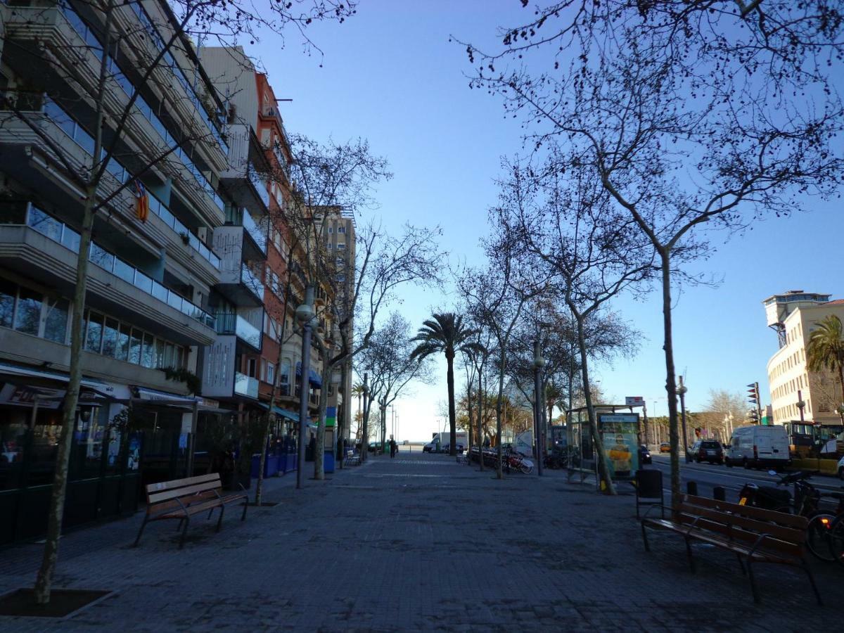 Espaseria * Barcellona